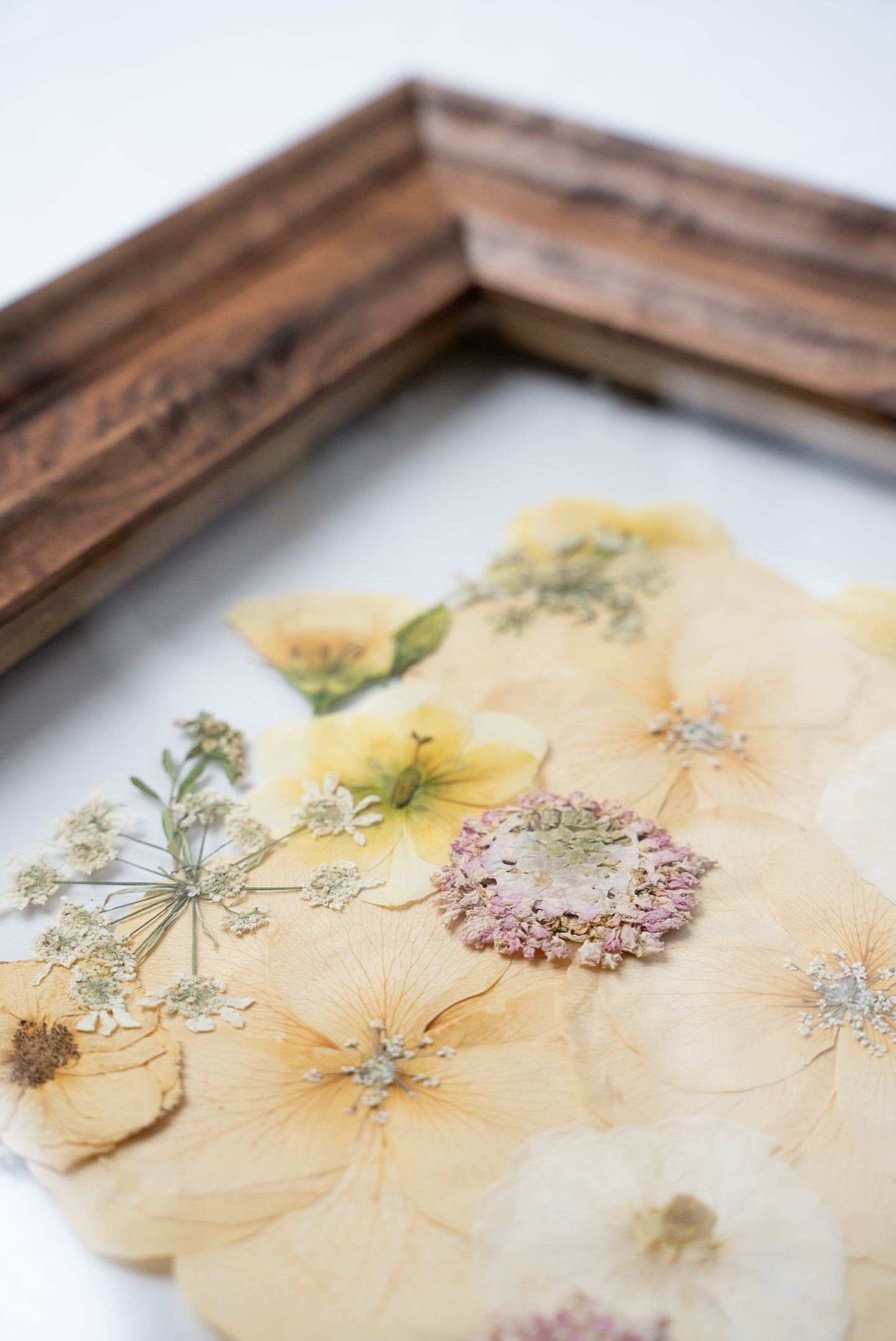 11x14 Antique